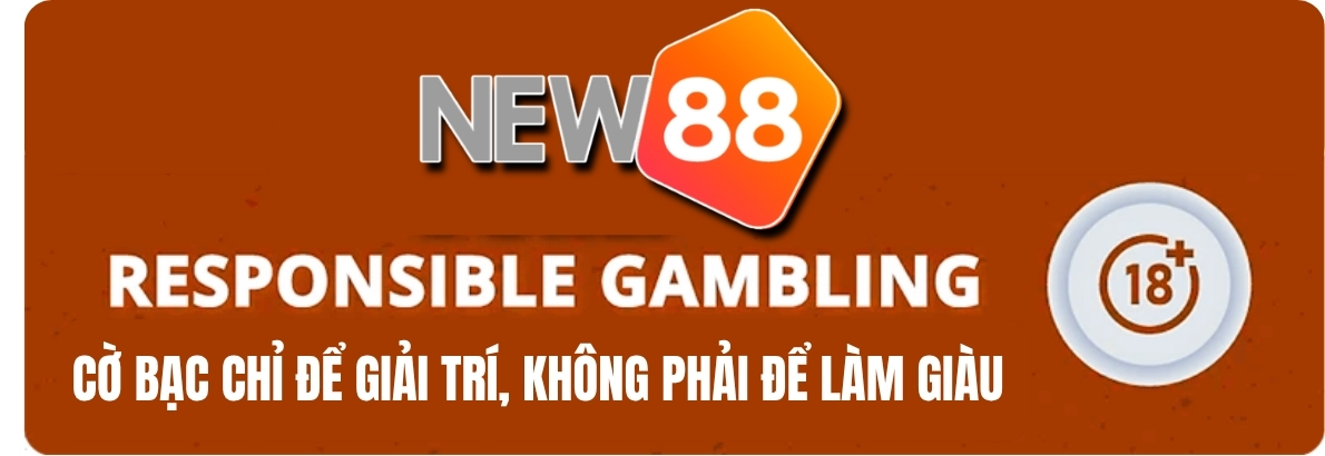 Cam Kết Minh Bạch & Chính Sách Chơi Có Trách Nhiệm Tại NEW88